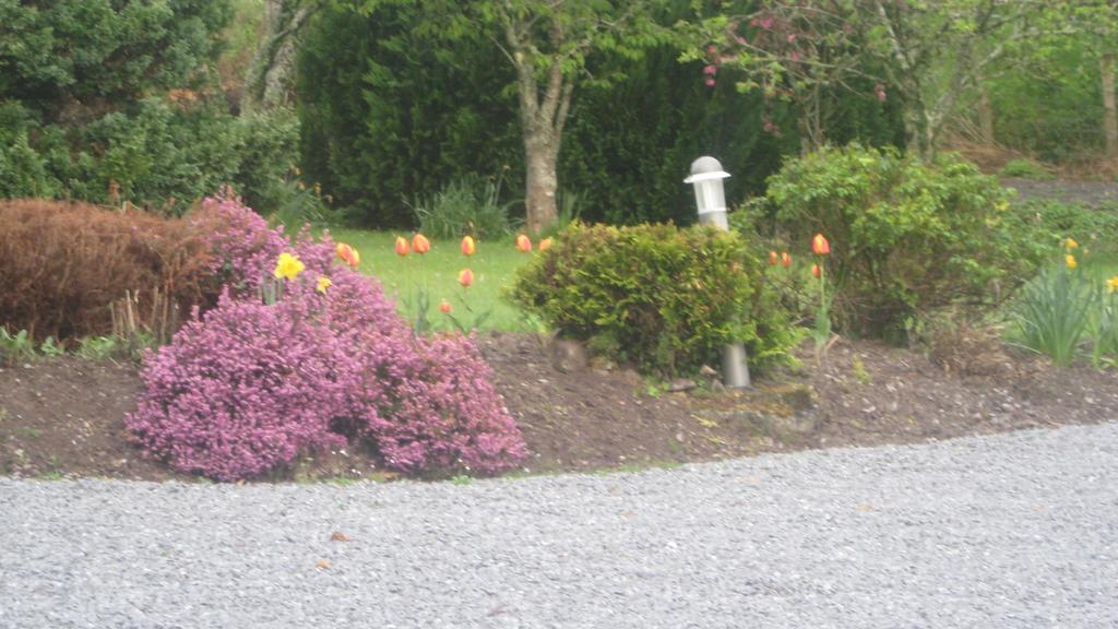 An Bruachan B&B Kenmare Extérieur photo